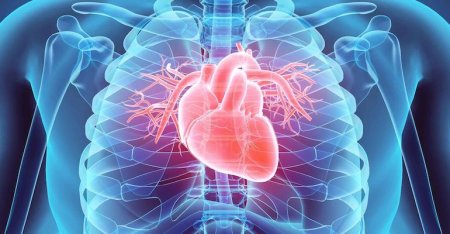 INSP: Un roman din patru, in evidenta medicilor de familie pentru o boala cardiovasculara