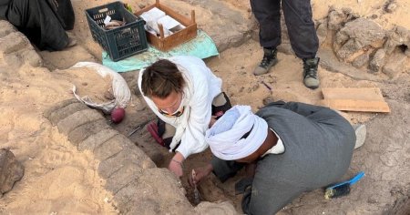 Sute de vase de vin intacte, de acum 5.000 de ani, au fost descoperite in sudul Egiptului