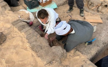 Ce au descoprit arheologii in urma unei misiuni in sudul Egiptului. FOTO