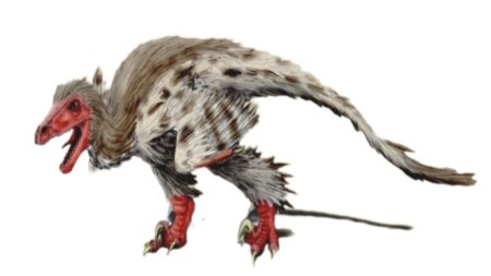 El este Balaurul bondoc, dinozaurul romanesc descoperit in Alba. Un amestec hibrid dintre o puica uriasa si un <span style='background:#EDF514'>PITBULL</span>