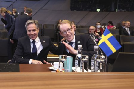 Ministrul suedez de Externe a lipsit de la summitul de la Kiev deoarece si-a uitat pasaportul