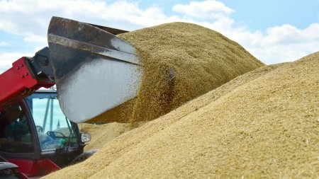 Importurile de cereale din Ucraina vor fi conditionate de un acord de punere pe piata