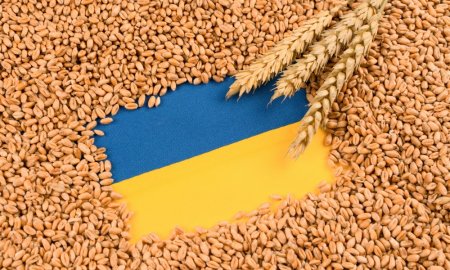 Barbu: Importurile de cereale din Ucraina vor fi permise doar in baza unui acord de punere pe piata, eliberat de MADR