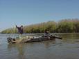 Se interzice pescuitul la setca in Delta Dunarii