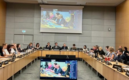 Ministerul Mediului: Romania, evaluata pozitiv cu privire la activitatile in domeniul protectiei mediului, in contextul procesului de aderare la OCDE