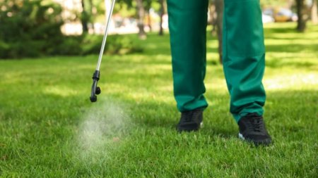 Pesticidele, interzise in parcuri, curtile scolilor si pe terenurile de sport