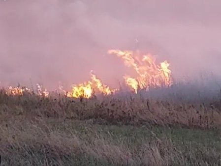 Incendiu puternic de vegetatie uscata in Vrancea. Actiunea in zona focarului, intrerupta pe timpul noptii