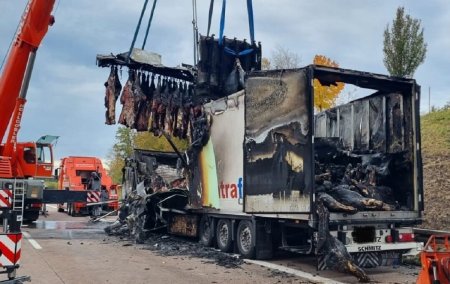 Mirosea a friptura la gratar! Camion plin cu carcase de vita de 200 de kg bucata, facut scrum pe o autostrada din Germania