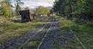 Calea ferata a momarlanilor ajunge la fier vechi. Hotii grabesc sfarsitul liniei de 150 de ani VIDEO
