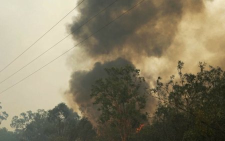 Doi oameni au murit si zeci de locuinte au fost distruse de incendiile de vegetatie din estul Australiei