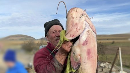 Somn de 24 de kilograme, capturat de un pescar clujean pe Lacul Filea Mare | Pretul la care a decis sa-l vanda