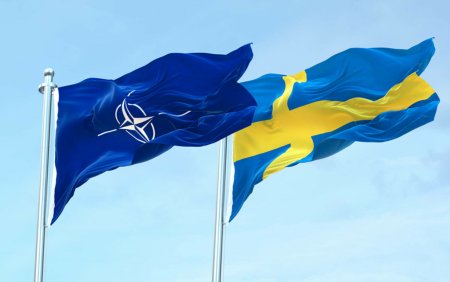 Stoltenberg face apel la Ungaria sa ratifice aderarea Suediei la NATO cat mai repede posibil