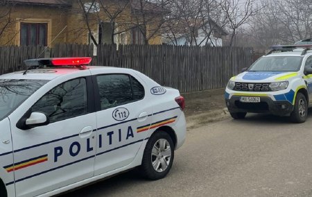 Un politist a fost lovit cu toporul in cap de barbatul pe care venise sa-l ancheteze pentru violenta in familie, la <span style='background:#EDF514'>DUMBRAVESTI</span>, in Prahova