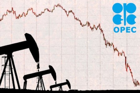 OPEC: Piata petrolului ramane puternica, in pofida increderii scazute a investitorilor