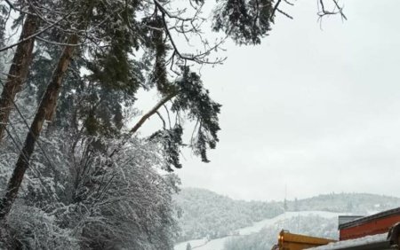 Conditii de iarna extreme in judetul Vaslui. Peste 2.400 de localnici au ramas <span style='background:#EDF514'>FARA CURENT</span> electric