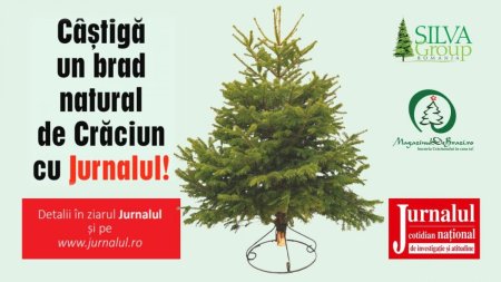 Participa la concursul Castiga un brad natural de Craciun cu Jurnalul!