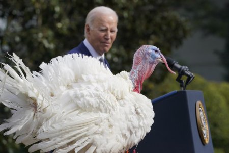 Presedintele american Joe Biden isi sarbatoreste cea de-a 81-a aniversare cu <span style='background:#EDF514'>GRATIEREA</span> curcanilor de Ziua Recunostintei