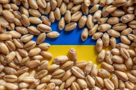 Afacerile oneroase cu cerealele din Ucraina. Pana la 20 miliarde de dolari s-au pierdut pe drum