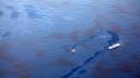 Peste 4,1 milioane de litri de petrol deversati in Golful Mexic, unde inca se cauta sursa scurgerii