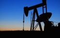 Oficiali SUA afirma ca sapte companii energetice au fost afectate de scurgerea de petrol in Golful Mexic