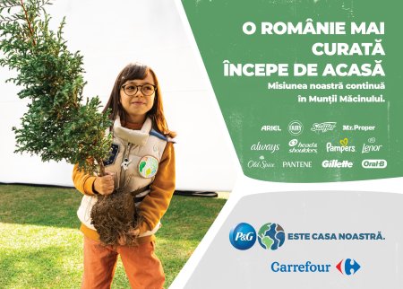 (P) 600 de puieti de gorun plantati de voluntarii P&G si Carrefour Romania in Muntii Macinului
