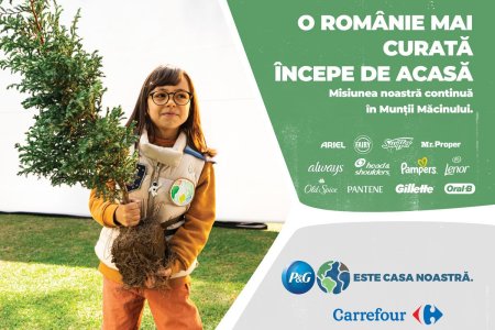600 de puieti de gorun plantati de voluntarii P&G si Carrefour Romania in Muntii Macinului