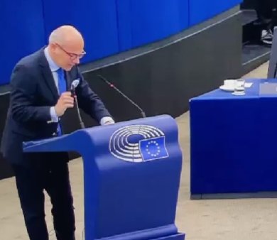 Rares Bogdan, in Parlamentul UE: Ii dau o veste proasta cancelarului Nehammer: Austria nu mai e imperiu!
