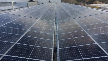 <span style='background:#EDF514'>PRIMARIA ORADEA</span> are in plan constructia unui parc fotovoltaic de 20 mil. euro