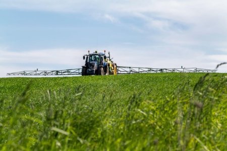 Barbu: Propunerea de injumatatire a cantitatii de pesticide folosite in agricultura, respinsa in Parlamentul European