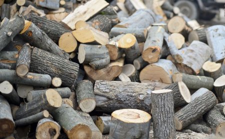 Brasovenii de la <span style='background:#EDF514'>TECHNO</span>wood au investit 1,4 mil. euro in cresterea capacitatii de productie