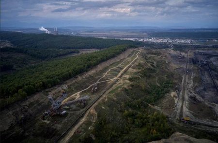 Bankwatch Romania: 44 de hectare de padure din Gorj, defrisate pentru extinderea carierei de lignit Rosia