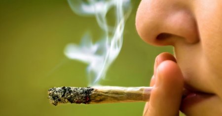 Consumul de marijuana schimba structura creierului la adolescenti. Avertismentul alarmant al specialistilor