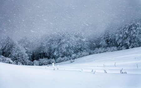 Se circula in conditii de iarna in judetele Caras-Severin si Gorj. Nu sunt <span style='background:#EDF514'>DRUMURI BLOCATE</span>