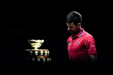 Novak Djokovic dupa dezastrul din Cupa Davis: Imi asum responsabilitatea