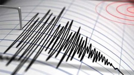 Cutremur in Vrancea, in aceasta dimineata. Ce magnitudine s-a inregistrat