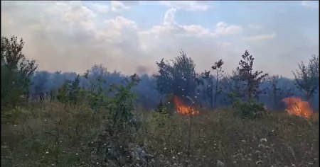 ASFOR: Romania poate pune in valoare biomasa forestiera si agricola, risipita prin incendieri ilegale