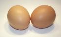 Kraft, General Mills si alte companii vor cere <span style='background:#EDF514'>DESPAGUBIRI</span> producatorilor de oua din SUA, dupa castigarea unui proces privind preturile prea mari
