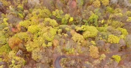Unul dintre cele mai frumoase locuri de agrement din Prahova, vazut din drona VIDEO