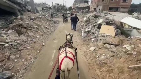 Pe strazile din Gaza, cu o caruta trasa de un magar: razboiul a transformat totul in moloz