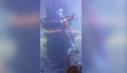 VIDEO Momente de groaza. O femeie intr-un <span style='background:#EDF514'>COSTU</span>m de sirena a ramas blocata pe fundul unui acvariu dupa ce coada a ramas agatata de un recif artificial