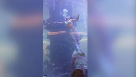 VIDEO Momente de groaza. O femeie intr-un costum de sirena a ramas blocata pe fundul unui acvariu dupa ce coada a ramas agatata de un recif artificial