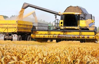 Bursa. Grup Serban Holding, cel mai mare business antreprenorial din agricultura listat la BVB, profit cu 44% mai mic in primele noua luni. Veniturile, minus 26%
