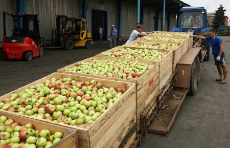 Rusia interzice importurile de legume si fructe din Republica Moldova: Pot provoca daune de mai multe miliarde de dolari productiei agricole a Federatiei Ruse