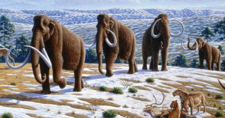 Ideea excentrica a unui miliardar rus: vrea sa transforme tundra siberiana intr-un taram al mamutilor