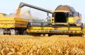 Autoritatea Vamala: In ultimele 6 luni nu fost inregistrate importuri de cereale din Ucraina