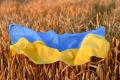 Autoritatea Vamala Romana: In ultimele 6 luni nu au fost inregistrate importuri de cereale din Ucraina