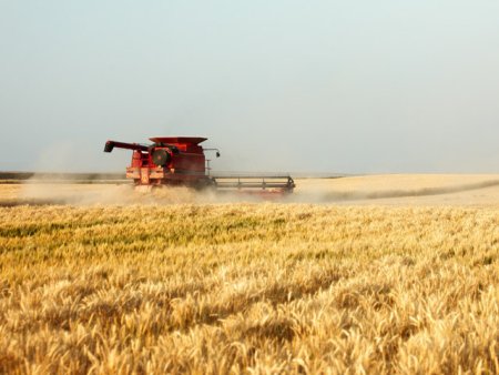 Afacerile traderului de cereale Ezean Grain, controlat de antreprenorul Nicolae Arghir din Braila, au crescut cu 67,5% in 2022, ajungand la peste 436 milioane de lei