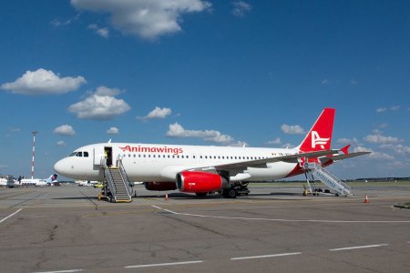 Agentia de turism Christian Tour vrea sa preia integral compania aeriana Anima Wings, tranzactie analizata de Consiliul Concurentei