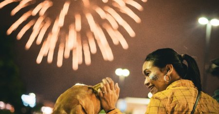 Cum sa linistesti cainii speriati de focurile de artificii. Ce recomanda specialistii