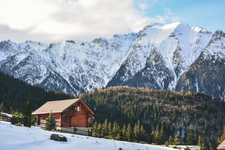 IRI Travel: Cererea pentru pachete de vacanta de sarbatorile de iarna a crescut cu 15% fata de anul precedent. Cele mai cautate destinatii sunt statiunile montane, balneare si destinatiile de turism rural din Romania, urmate de statiunile de litoral si de munte din Bulgaria si de destinatiile de schi din Italia, Austria si Franta